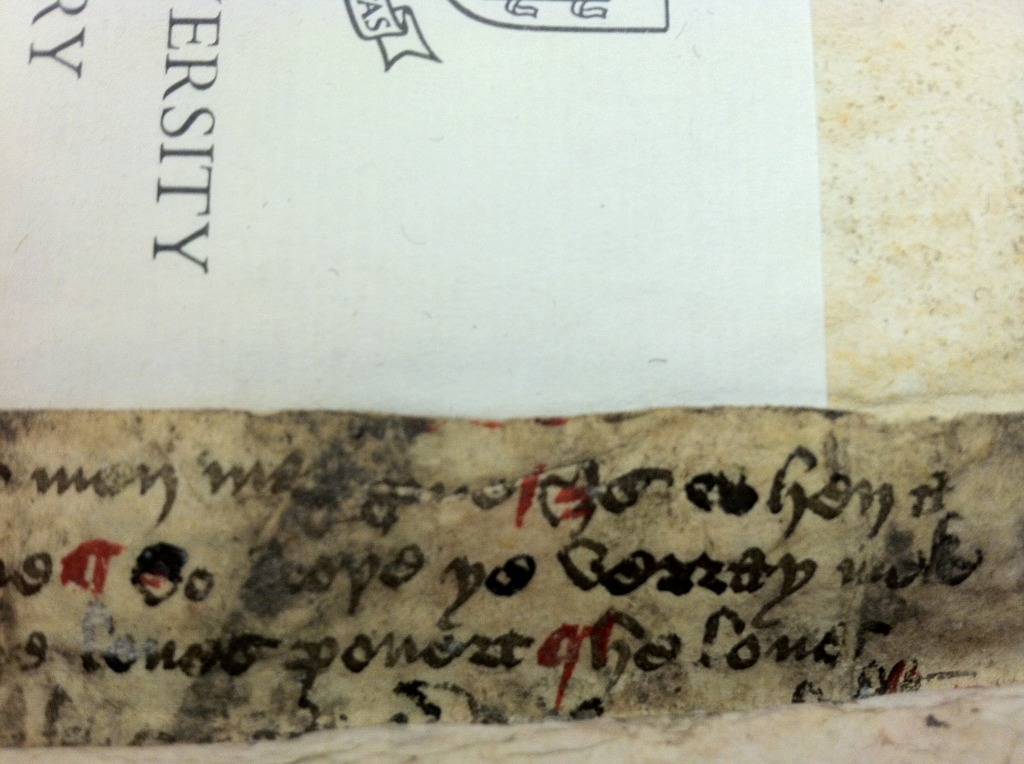 New Haven, Beinecke Library, 2008 2471